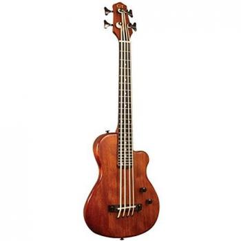 Gold Tone Micro Bass 23