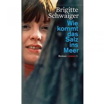 Brigitte Schwaiger Wie Kommt Das Salz Ins Meer. Roman (Haymon-Taschenbuch)