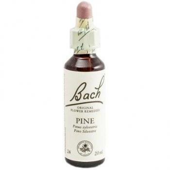 Bachblüten Waldkiefer 20 ml