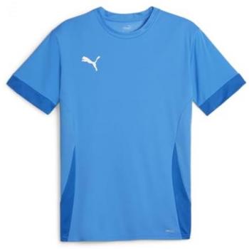 PUMA Fußballtrikot Kinder teamGOAL Matchday Jersey jr 705748