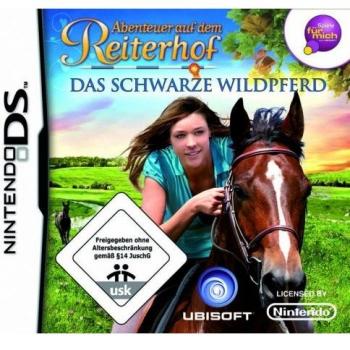 Nintendo DS