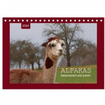 Alpakas