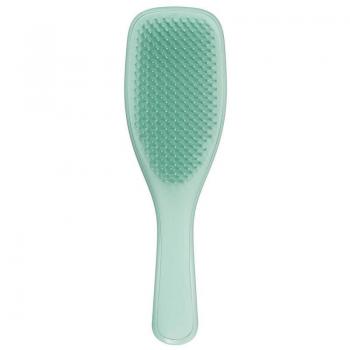Tangle Teezer Ultimate Detangler Fine & Fragile Dark Teal flat brush for all hair types 1 pc