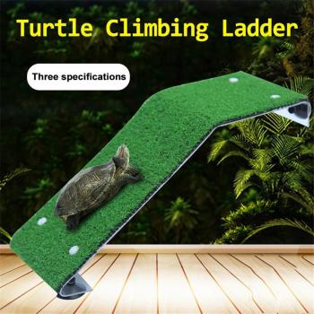 Lizard Habitat Decoration