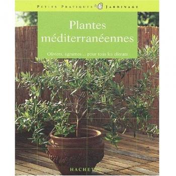 Plantes méditerranéennes. Les conseils d'un expert pour cultiver des plantes méditerranéennes sous un climat doux