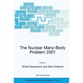 The Nuclear Many-Body Problem 2001