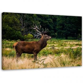 Green Forest Deer Roar Canvas 60x40