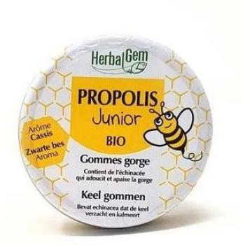 Gommes de Propolis Junior Bio 45g