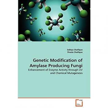 Genetic Modification of Amylase Producing Fungi