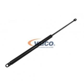 Cofano Motore Ammortizzatori BMW V20-0979