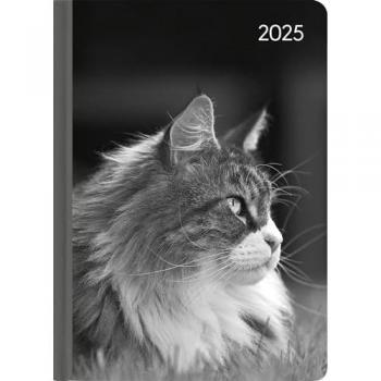 Calendrier Dumont Cat – Version 2025