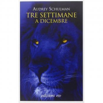 Tre settimane a dicembre