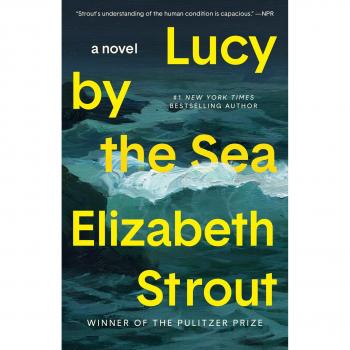 Elizabeth Strout Lucy By The Sea: A Novel