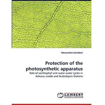 Protection of the photosynthetic apparatus
