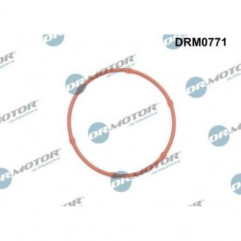 Dr. Motor Gasket for Oil Pump DRM0771