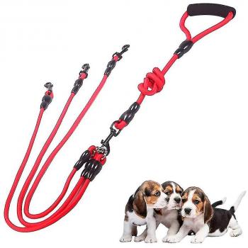 Correa para pasear 3 perros simultáneamente