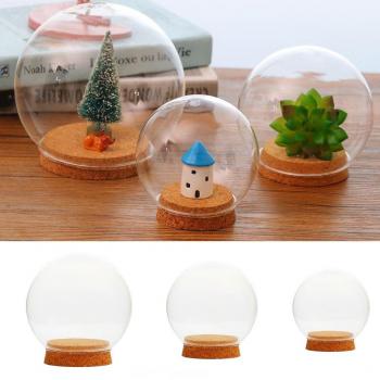 Clear Glass Dome with Wooden Stand for Dried Floral Decor