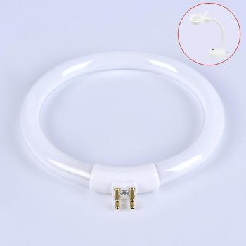 Tube Annulaire Blanc 11W sans marque