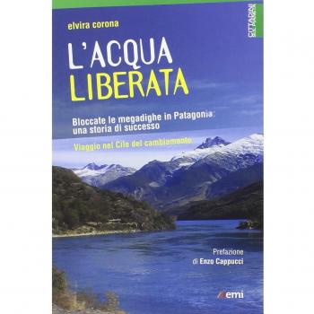 L'acqua liberata. Bloccate le megadighe in Patagonia: una storia di successo. Viaggio nel Cile del cambiamento