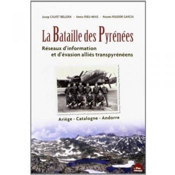 La bataille des Pyrénées