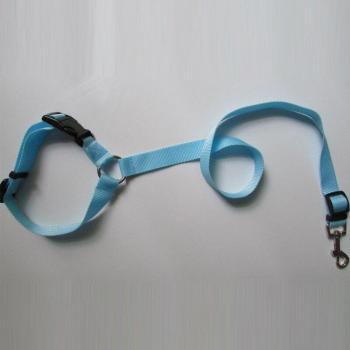 Reise-Sicherheitsgurt für Hunde – Auto & Transport