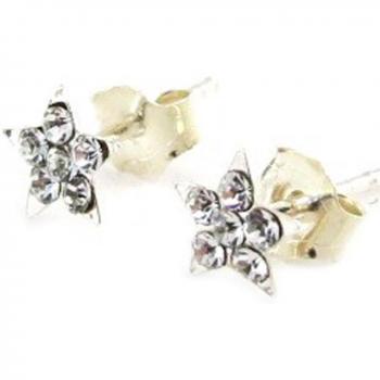 C5479 Silver Star Earrings – Les Trésors De Lily