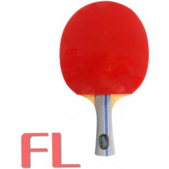 Galaxy YINHE 896 Racket with 2 Galaxy YINHE Mars II Paddles