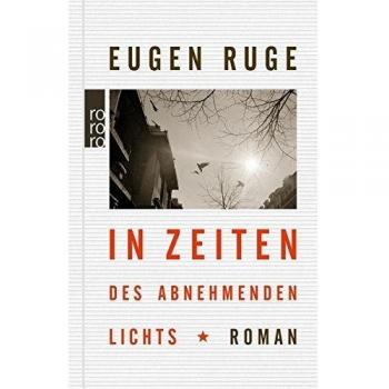 In Zeiten des abnehmenden Lichts: Roman einer Familie