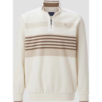 Heren Troyer Sweatshirt MODASTIL Babista wolwit
