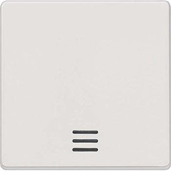Siemens 5TG6220 Wippe 1fach mit Fenster