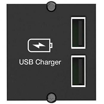 Custom Modul USB Doppel-Charger