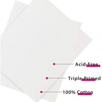 Phoenix Pro Art Canvas Sheets – 1/7 Deep, 9x12, 12-Pack White