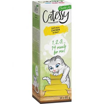 Catessy Umido per gatti