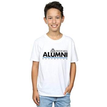 T‑shirt juvenil de Harry Potter, diseño Hogwarts – disponible en tiendas