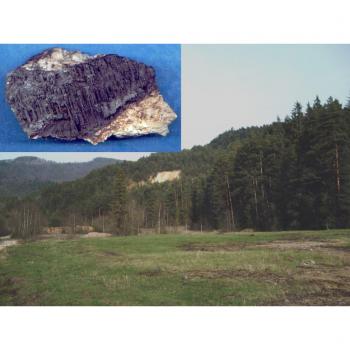 Ausgewählte Mineralien von slovakischen Erzlagerstätten.