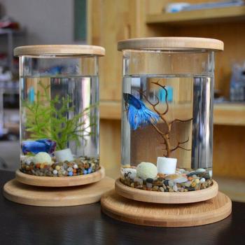 Glass Betta Fish Bowl with Rotating Feature