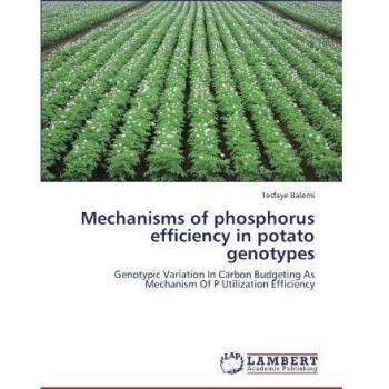 Mechanisms of phosphorus efficiency in potato genotypes: Genotypic Variation In Carbon Budgeting As Mechanism Of P Utilization Efficiency