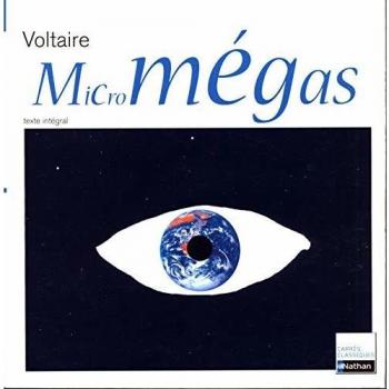 MICROMEGAS VOLTAIRE 1ERE N17