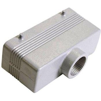 Modulo Occhiello TG24‑108 PG 21 Argento per Server