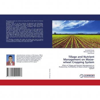 Tillage and Nutrient Management on Maize-wheat Cropping System