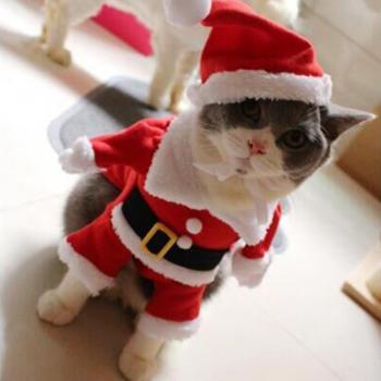 Veste à capuche Santa pour animaux de compagnie