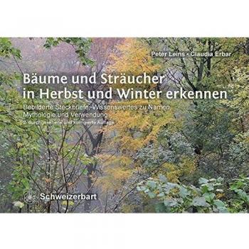 Bäume und Sträucher in Herbst und Winter erkennen: Bebilderte Steckbriefe, Wissenswertes zu Namen, Mythologie und Verwendung
