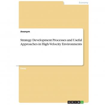 Strategy Development Processes and Useful Approaches in High-Velocity Environments
