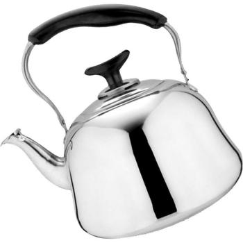 Tetera de Ebullición Rápida 1L