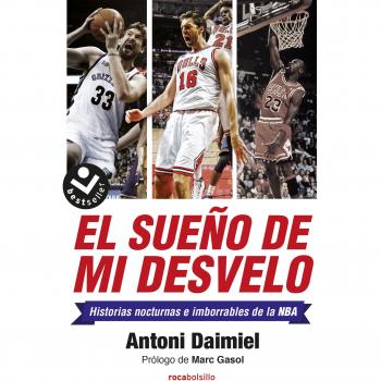 El Sueno De Mi Desvelo