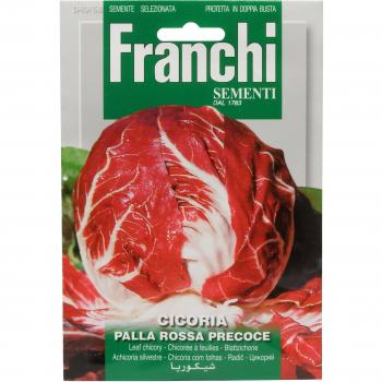 Palla Rossa Precoce Radicchio