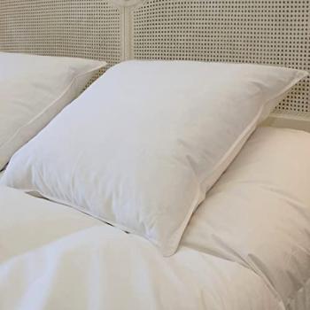 Oreiller naturel en plumes