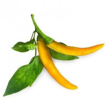 Semi Gialli Click&Grow – Peperoncini