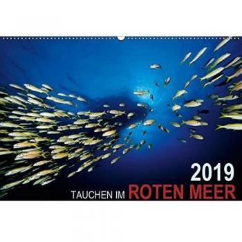 Tauchen im Roten Meer 2019