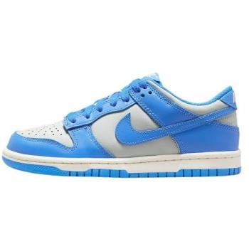Nike Dunk Low Kids – Silver (Grey) – Size 4.5